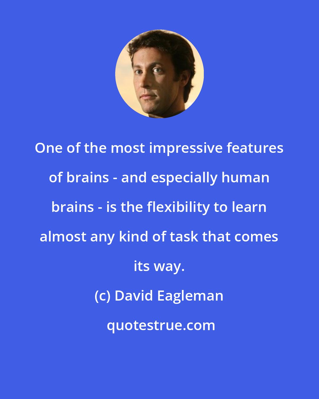 David Eagleman: One of the most impressive features of brains - and especially human brains - is the flexibility to learn almost any kind of task that comes its way.