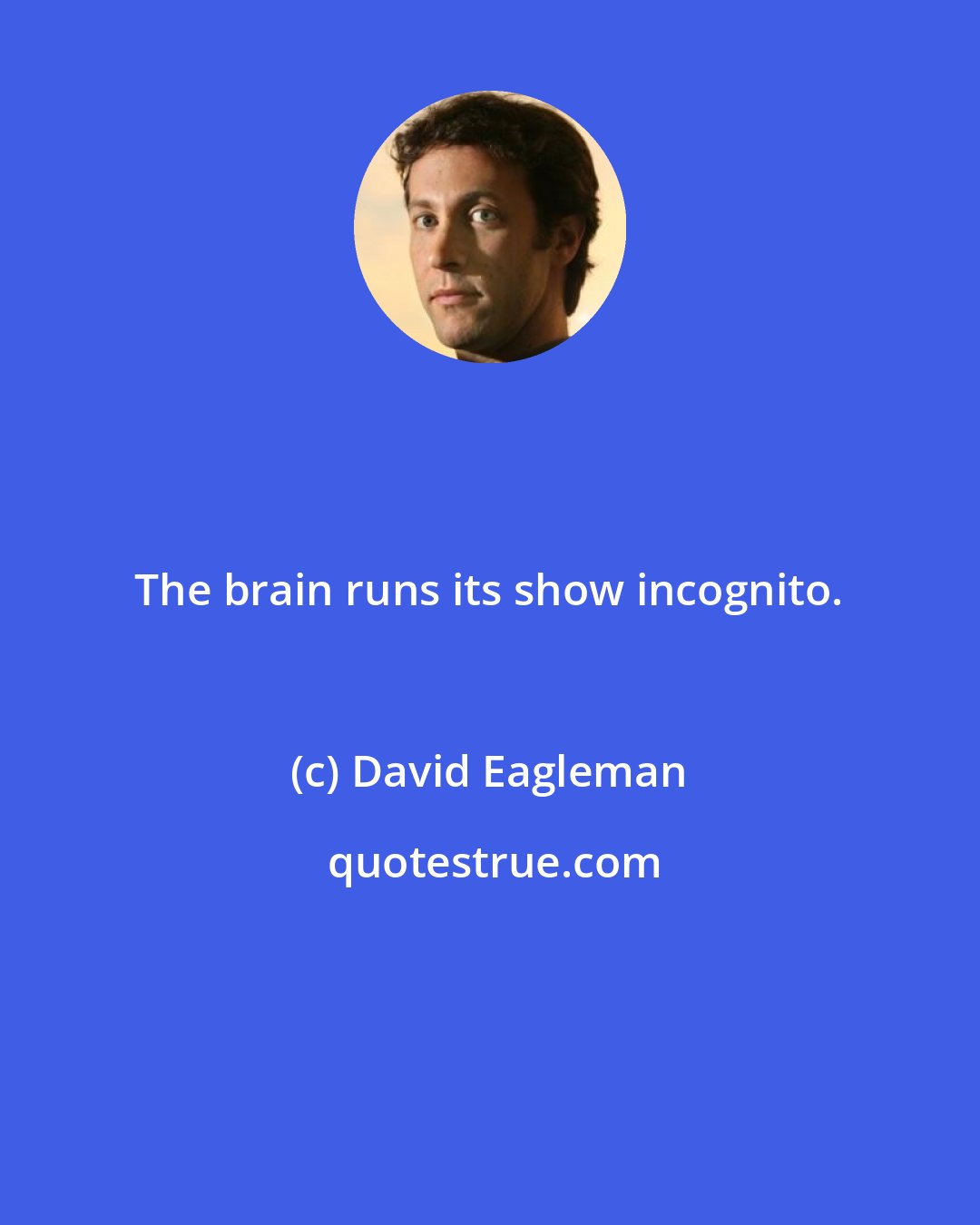 David Eagleman: The brain runs its show incognito.