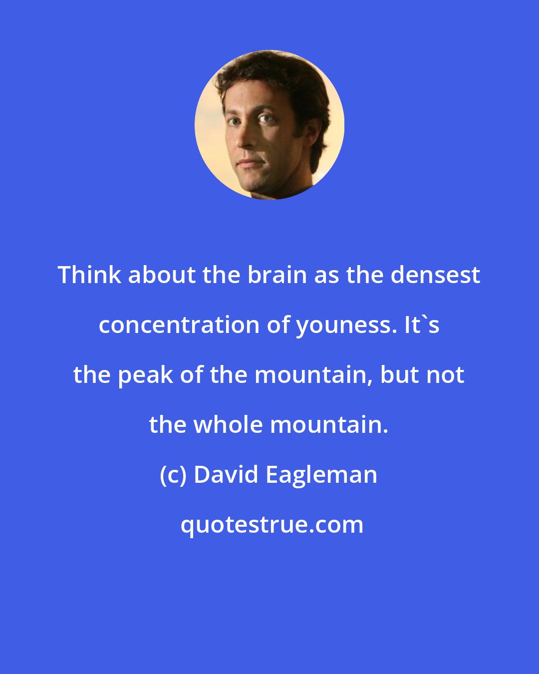 David Eagleman: Think about the brain as the densest concentration of youness. It's the peak of the mountain, but not the whole mountain.