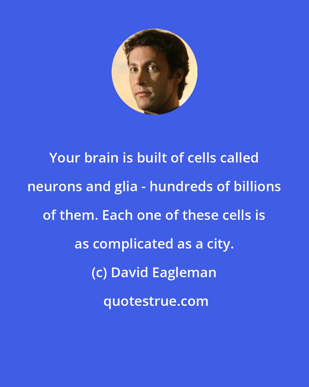 David Eagleman: Your brain is built of cells called neurons and glia - hundreds of billions of them. Each one of these cells is as complicated as a city.