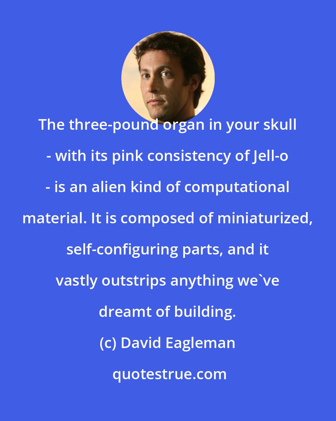 David Eagleman: The three-pound organ in your skull - with its pink consistency of Jell-o - is an alien kind of computational material. It is composed of miniaturized, self-configuring parts, and it vastly outstrips anything we've dreamt of building.