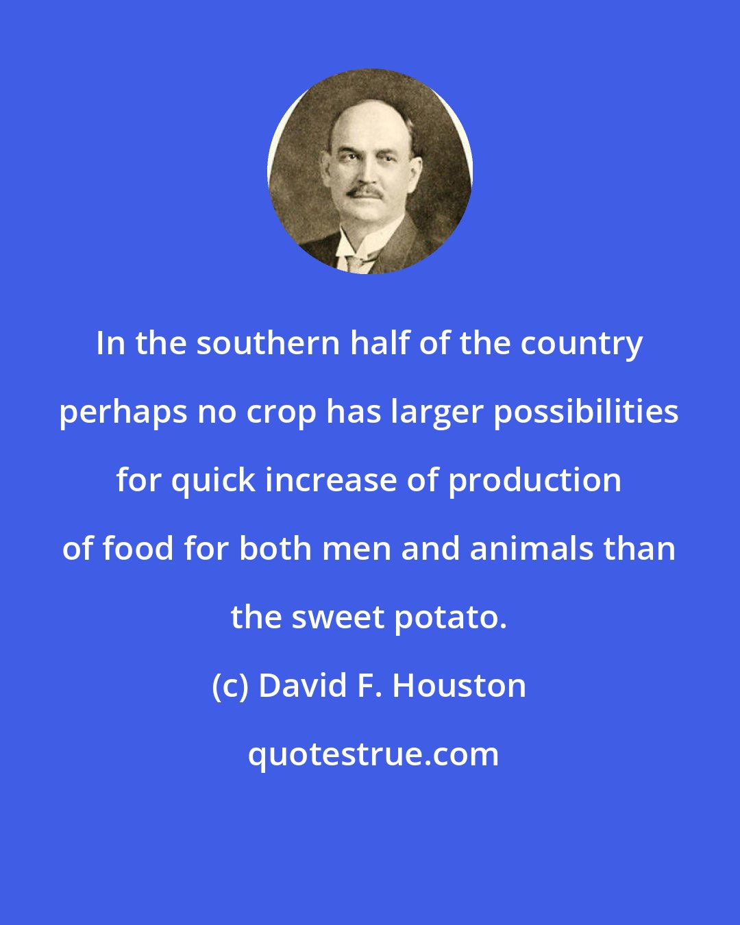 David F. Houston: In the southern half of the country perhaps no crop has larger possibilities for quick increase of production of food for both men and animals than the sweet potato.