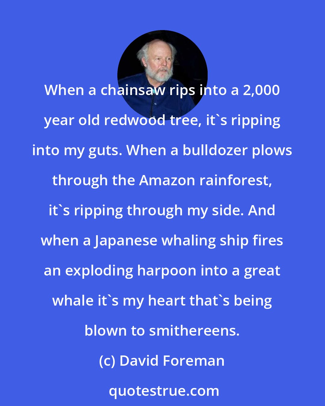 David Foreman: When a chainsaw rips into a 2,000 year old redwood tree, it's ripping into my guts. When a bulldozer plows through the Amazon rainforest, it's ripping through my side. And when a Japanese whaling ship fires an exploding harpoon into a great whale it's my heart that's being blown to smithereens.