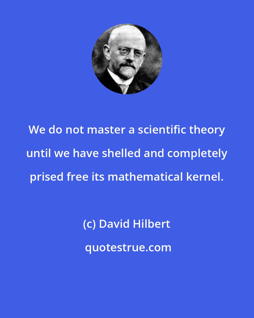 David Hilbert: We do not master a scientific theory until we have shelled and completely prised free its mathematical kernel.