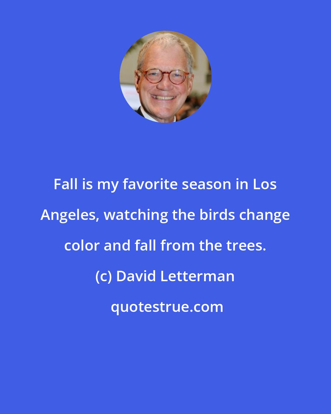 David Letterman: Fall is my favorite season in Los Angeles, watching the birds change color and fall from the trees.