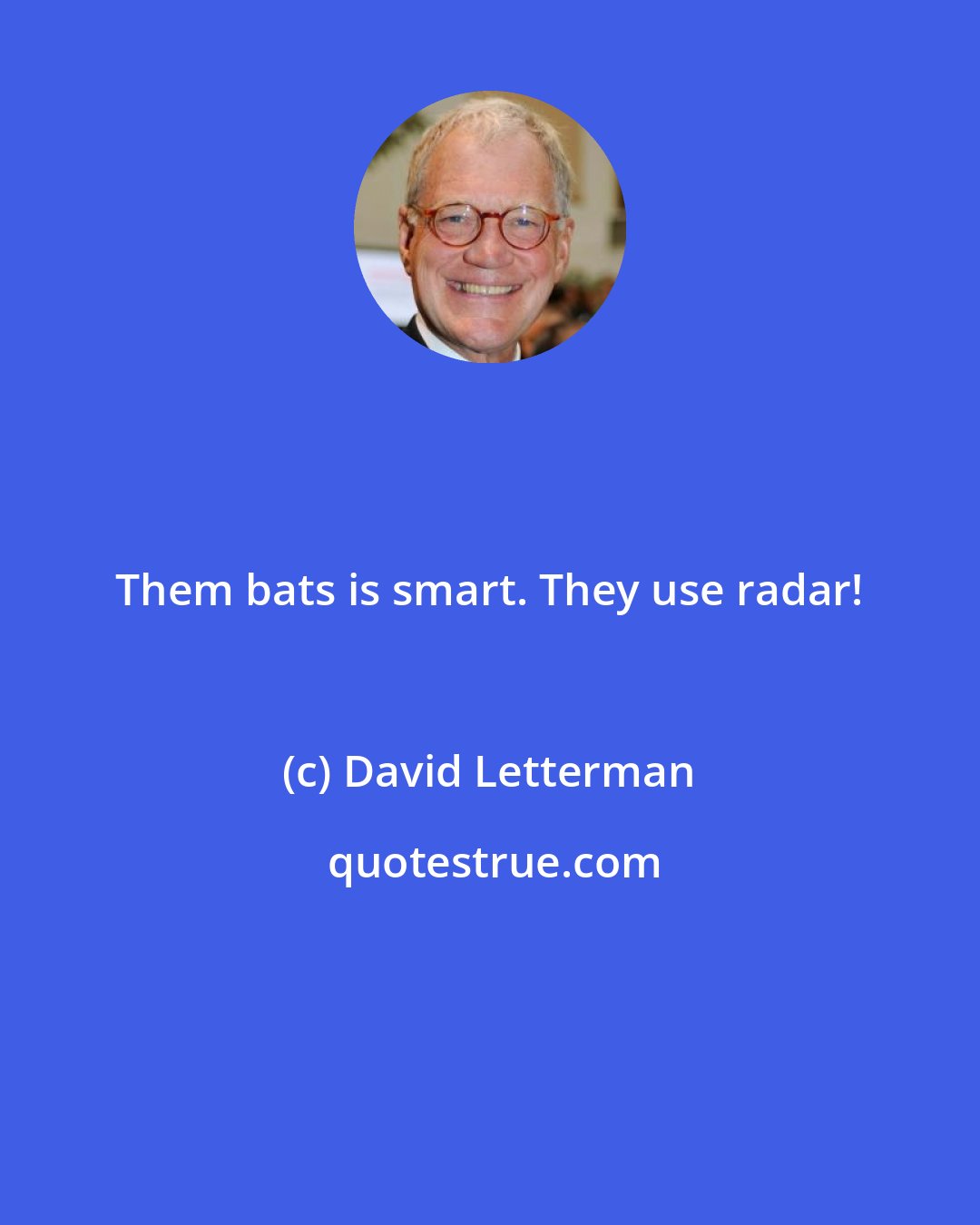 David Letterman: Them bats is smart. They use radar!