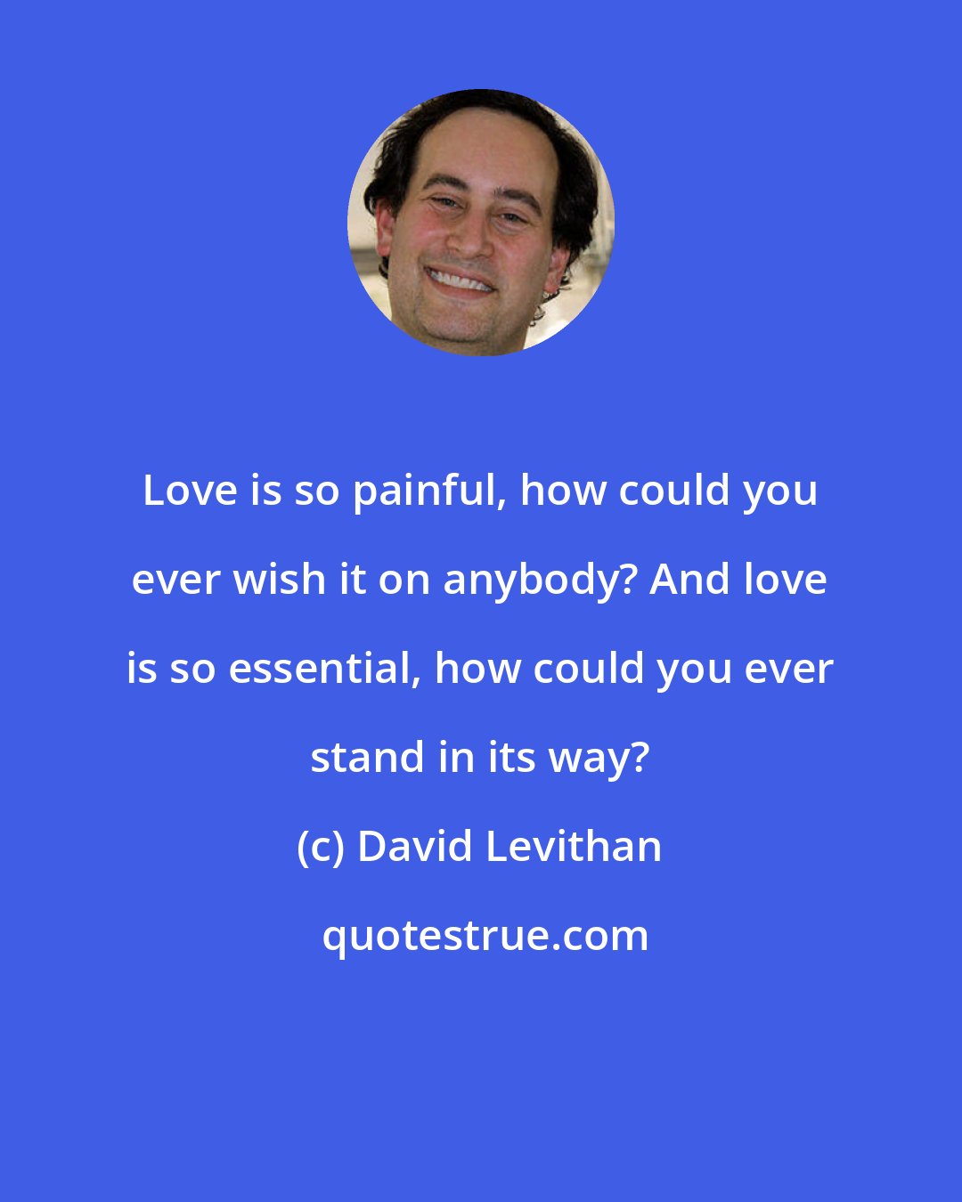 David Levithan: Love is so painful, how could you ever wish it on anybody? And love is so essential, how could you ever stand in its way?