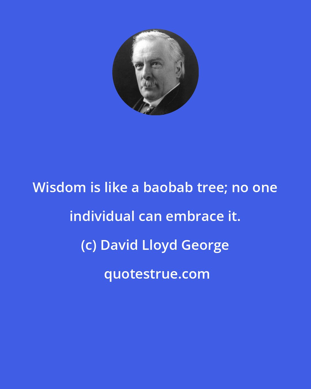 David Lloyd George: Wisdom is like a baobab tree; no one individual can embrace it.