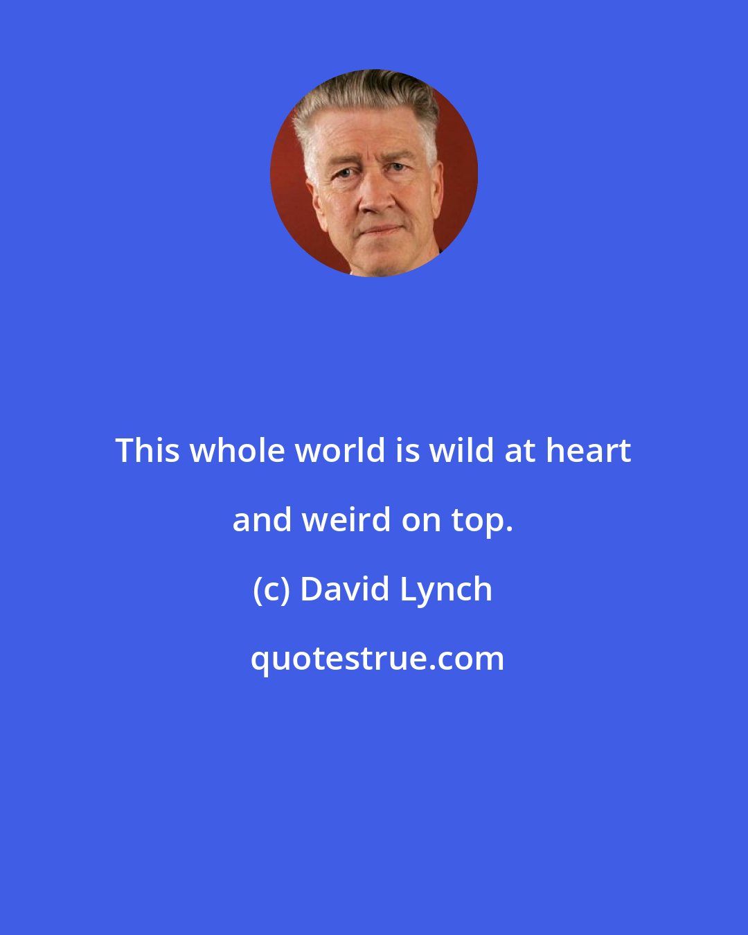 David Lynch: This whole world is wild at heart and weird on top.