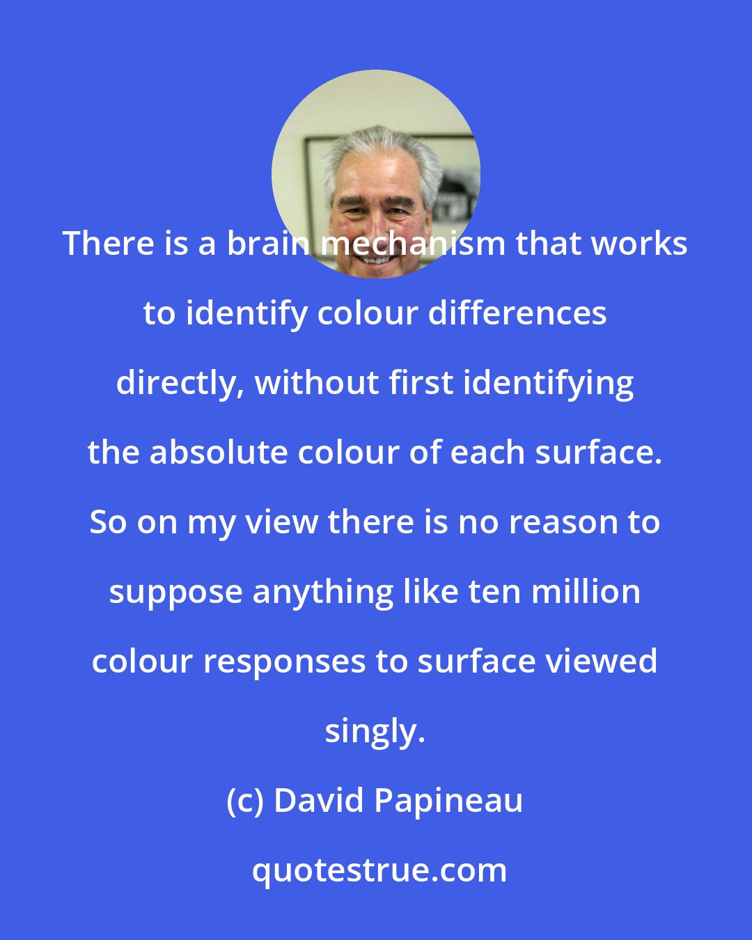 David Papineau: There is a brain mechanism that works to identify colour differences directly, without first identifying the absolute colour of each surface. So on my view there is no reason to suppose anything like ten million colour responses to surface viewed singly.