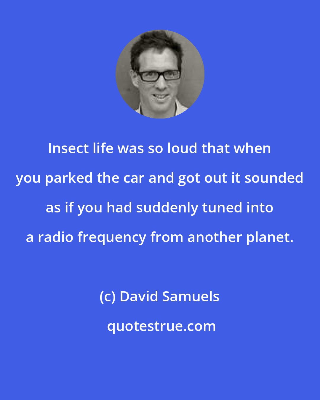 David Samuels: Insect life was so loud that when you parked the car and got out it sounded as if you had suddenly tuned into a radio frequency from another planet.