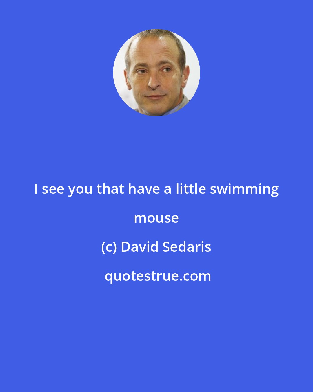 David Sedaris: I see you that have a little swimming mouse