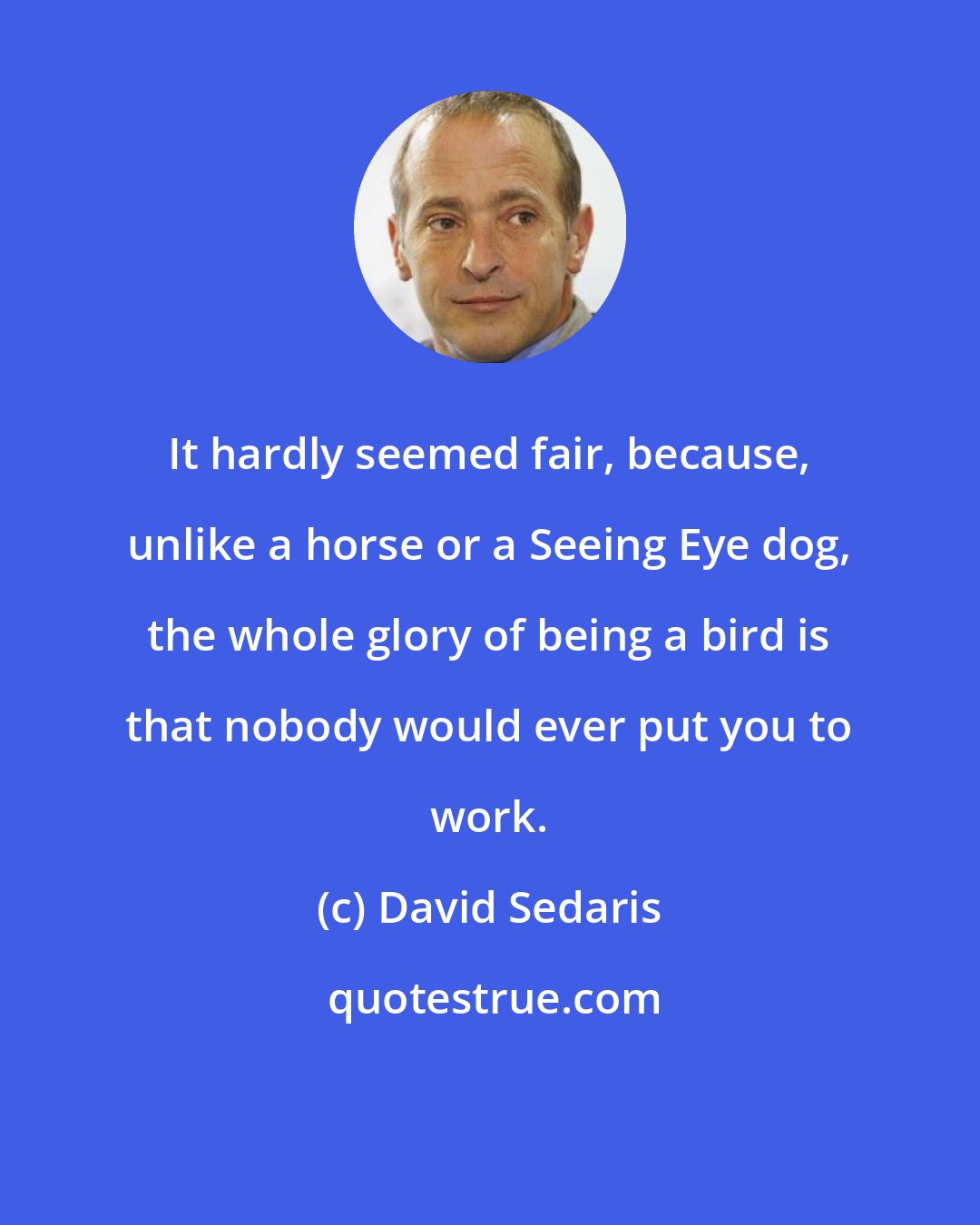 David Sedaris: It hardly seemed fair, because, unlike a horse or a Seeing Eye dog, the whole glory of being a bird is that nobody would ever put you to work.