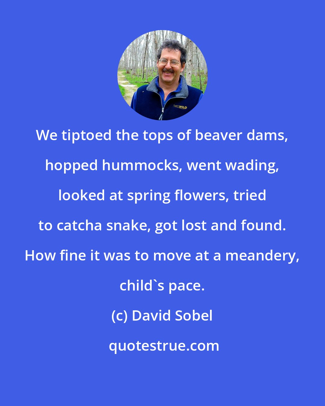 David Sobel: We tiptoed the tops of beaver dams, hopped hummocks, went wading, looked at spring flowers, tried to catcha snake, got lost and found. How fine it was to move at a meandery, child's pace.