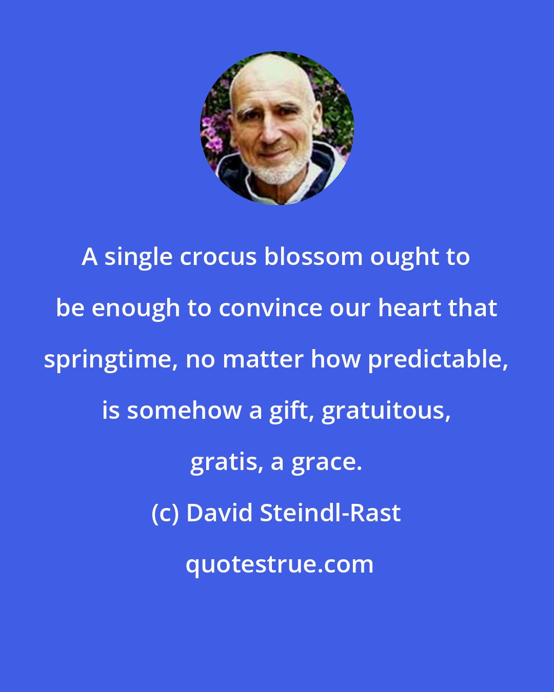 David Steindl-Rast: A single crocus blossom ought to be enough to convince our heart that springtime, no matter how predictable, is somehow a gift, gratuitous, gratis, a grace.