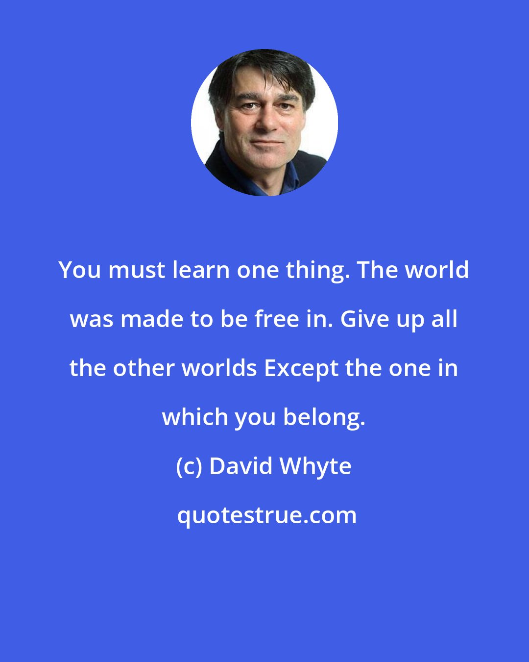 David Whyte: You must learn one thing. The world was made to be free in. Give up all the other worlds Except the one in which you belong.