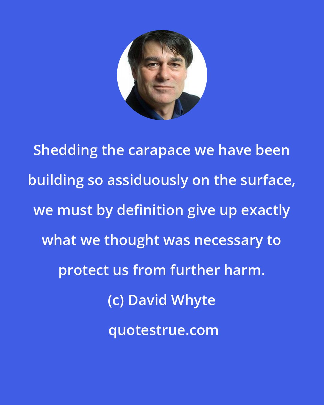 David Whyte: Shedding the carapace we have been building so assiduously on the surface, we must by definition give up exactly what we thought was necessary to protect us from further harm.