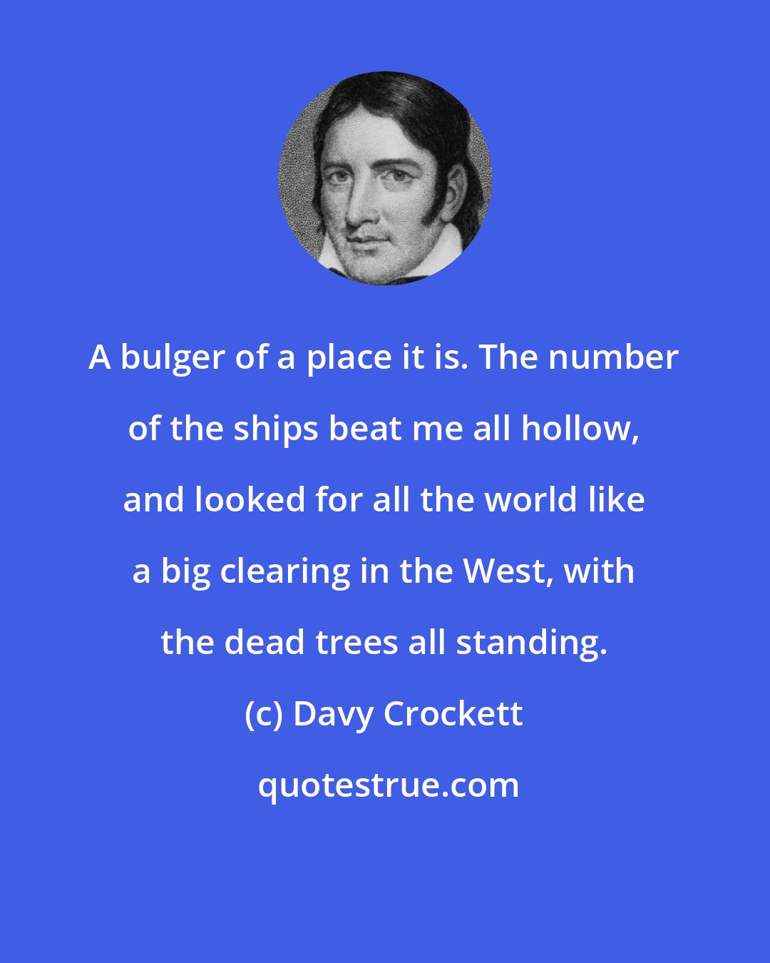 Davy Crockett: A bulger of a place it is. The number of the ships beat me all hollow, and looked for all the world like a big clearing in the West, with the dead trees all standing.