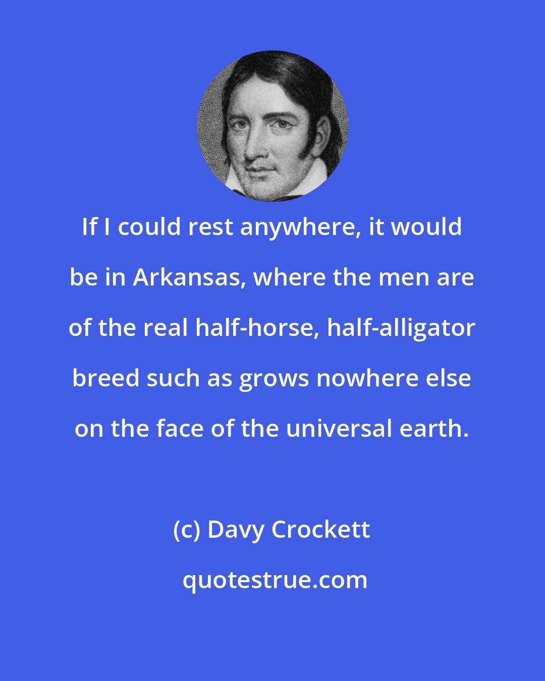 Davy Crockett: If I could rest anywhere, it would be in Arkansas, where the men are of the real half-horse, half-alligator breed such as grows nowhere else on the face of the universal earth.