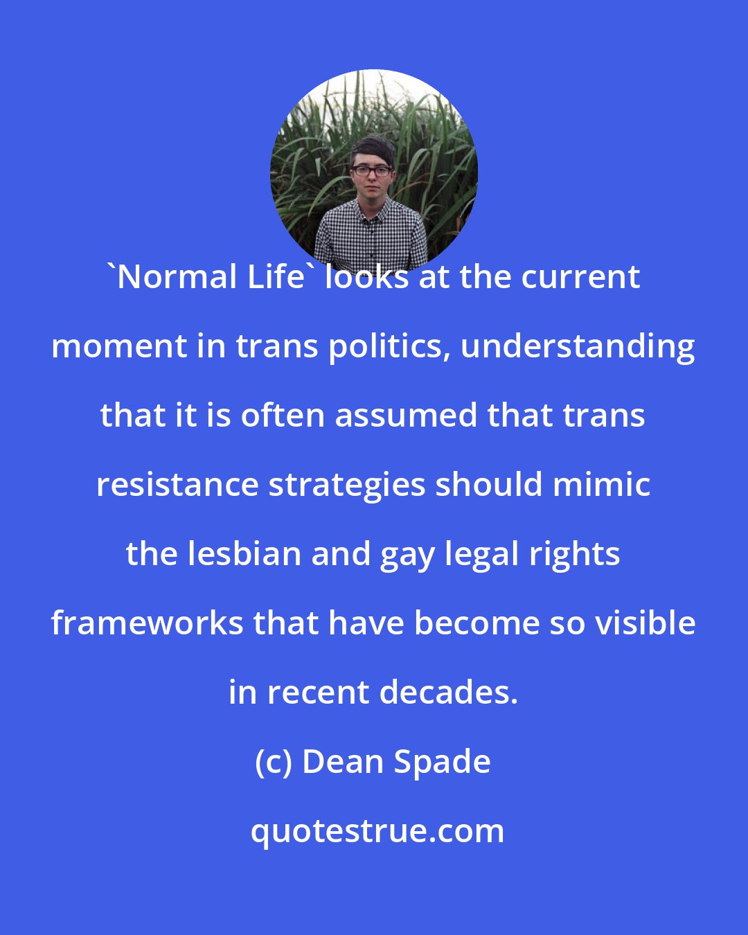 Dean Spade: 'Normal Life' looks at the current moment in trans politics, understanding that it is often assumed that trans resistance strategies should mimic the lesbian and gay legal rights frameworks that have become so visible in recent decades.