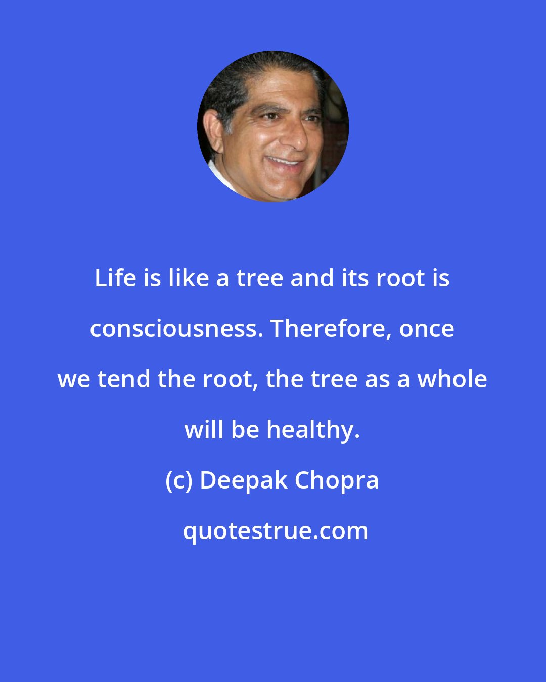 Deepak Chopra: Life is like a tree and its root is consciousness. Therefore, once we tend the root, the tree as a whole will be healthy.