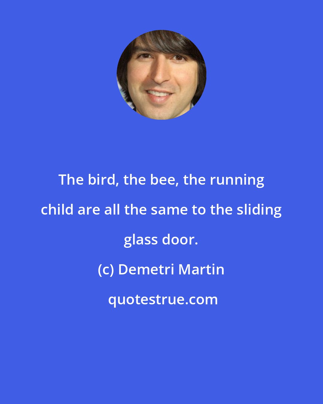 Demetri Martin: The bird, the bee, the running child are all the same to the sliding glass door.