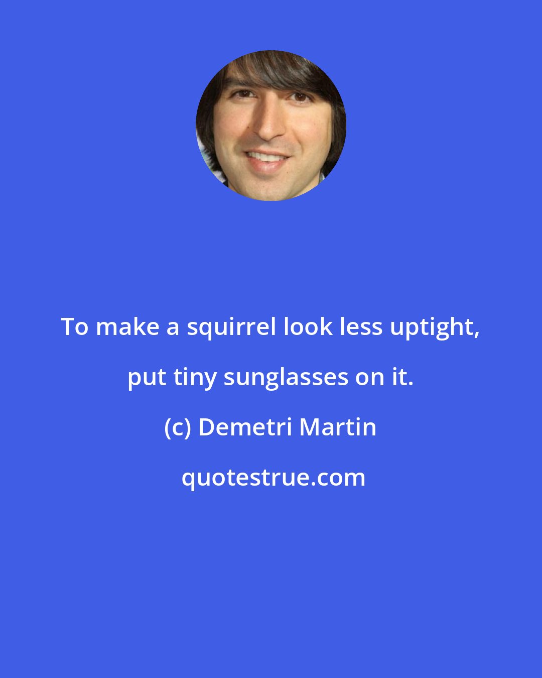 Demetri Martin: To make a squirrel look less uptight, put tiny sunglasses on it.