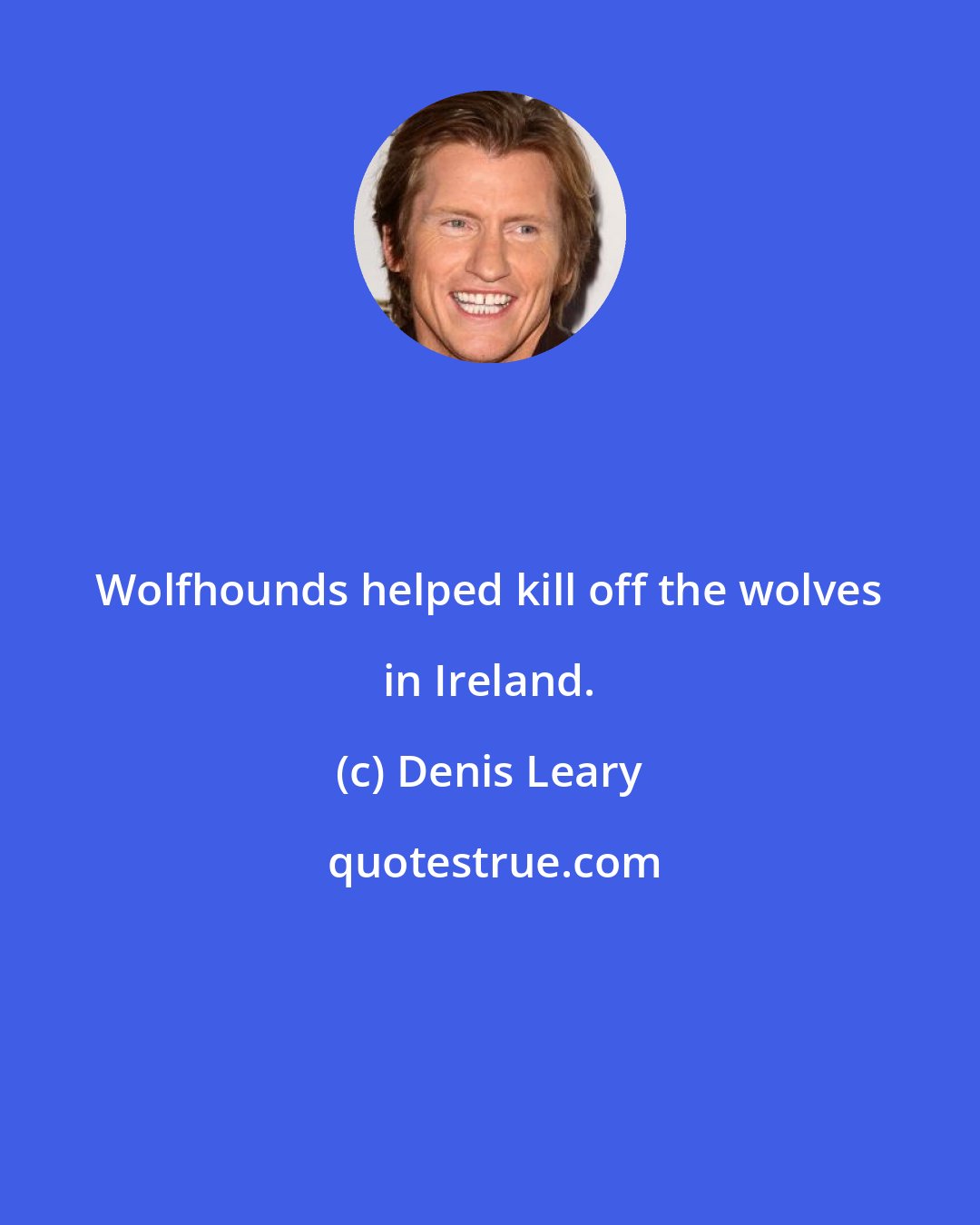 Denis Leary: Wolfhounds helped kill off the wolves in Ireland.