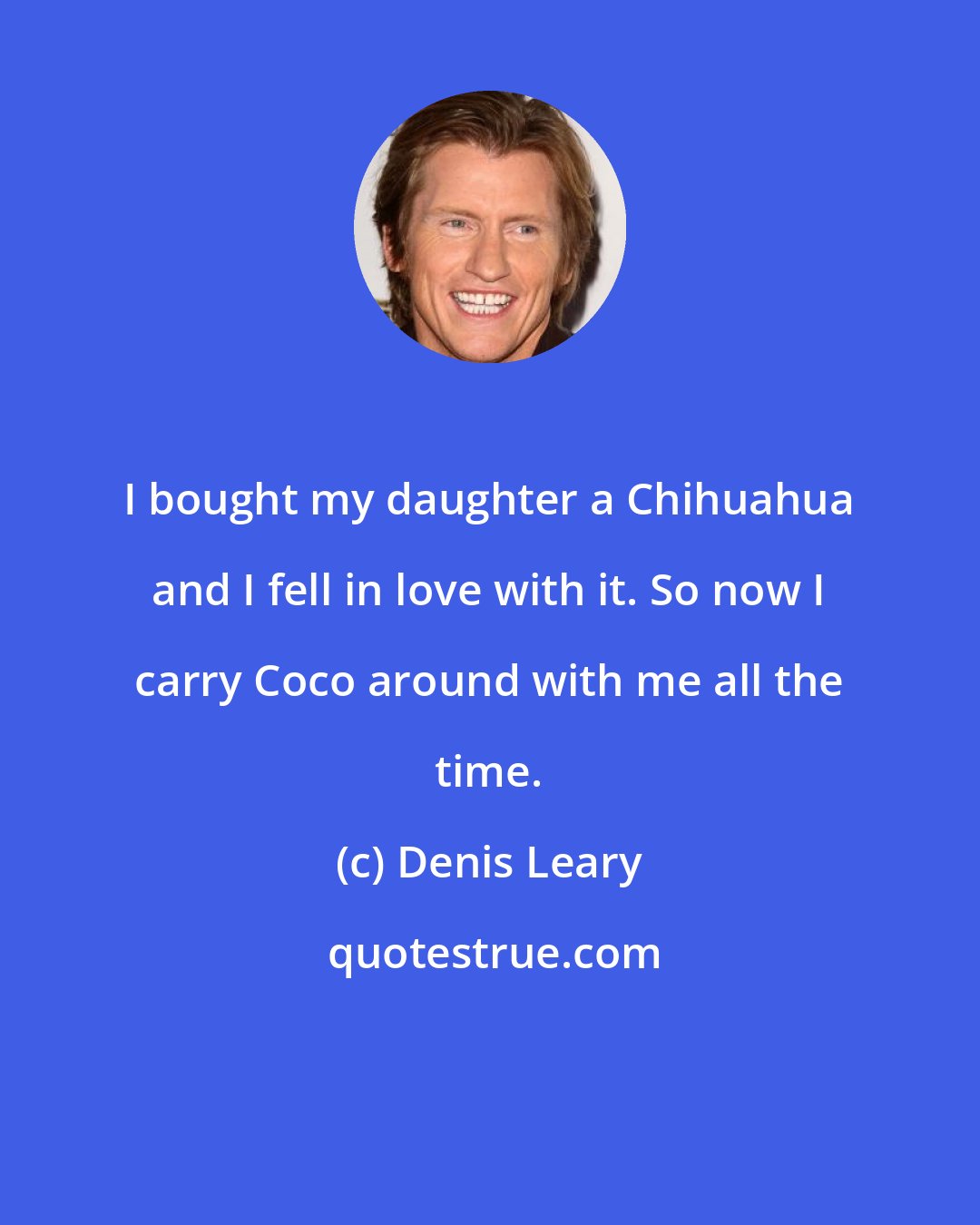 Denis Leary: I bought my daughter a Chihuahua and I fell in love with it. So now I carry Coco around with me all the time.