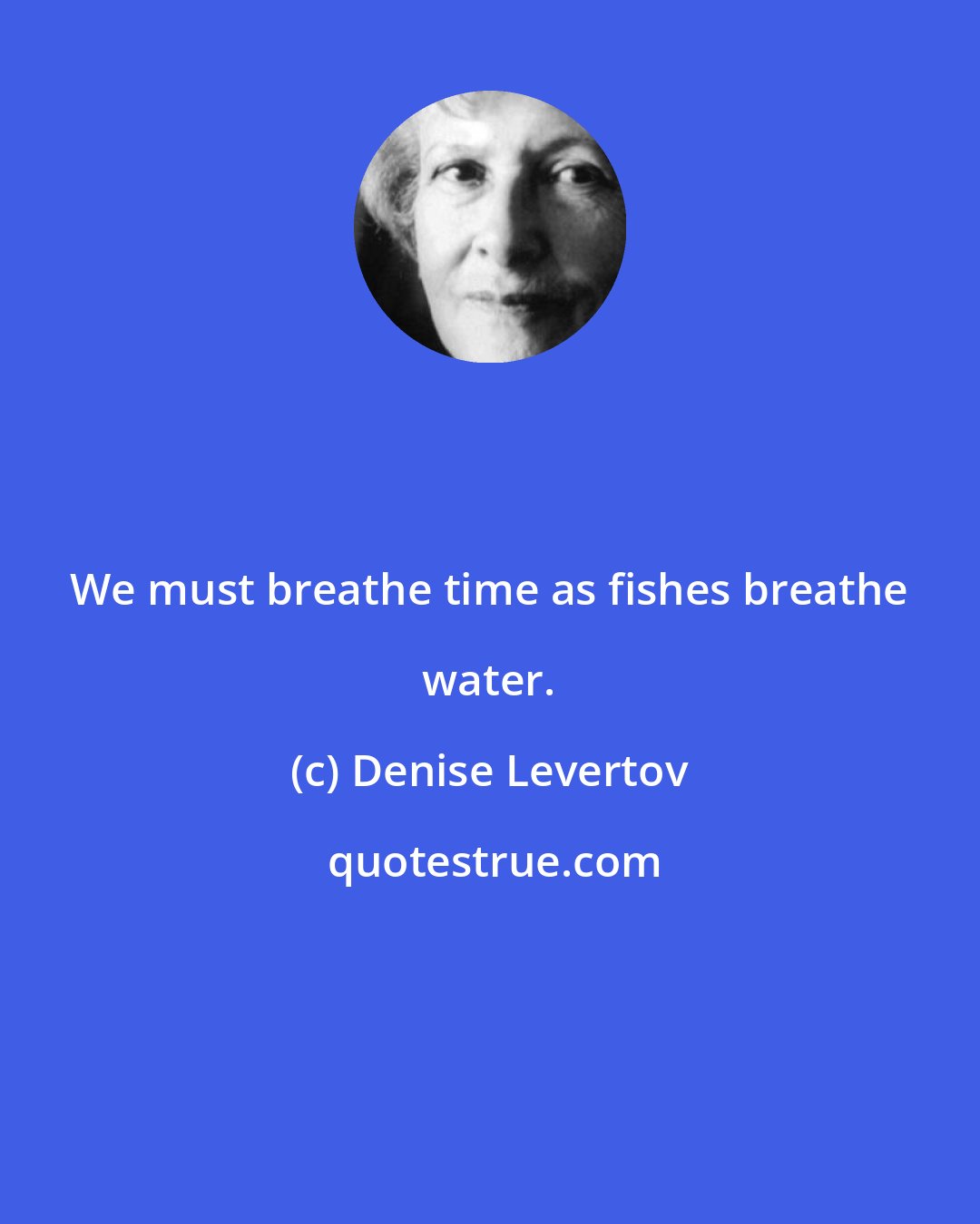 Denise Levertov: We must breathe time as fishes breathe water.