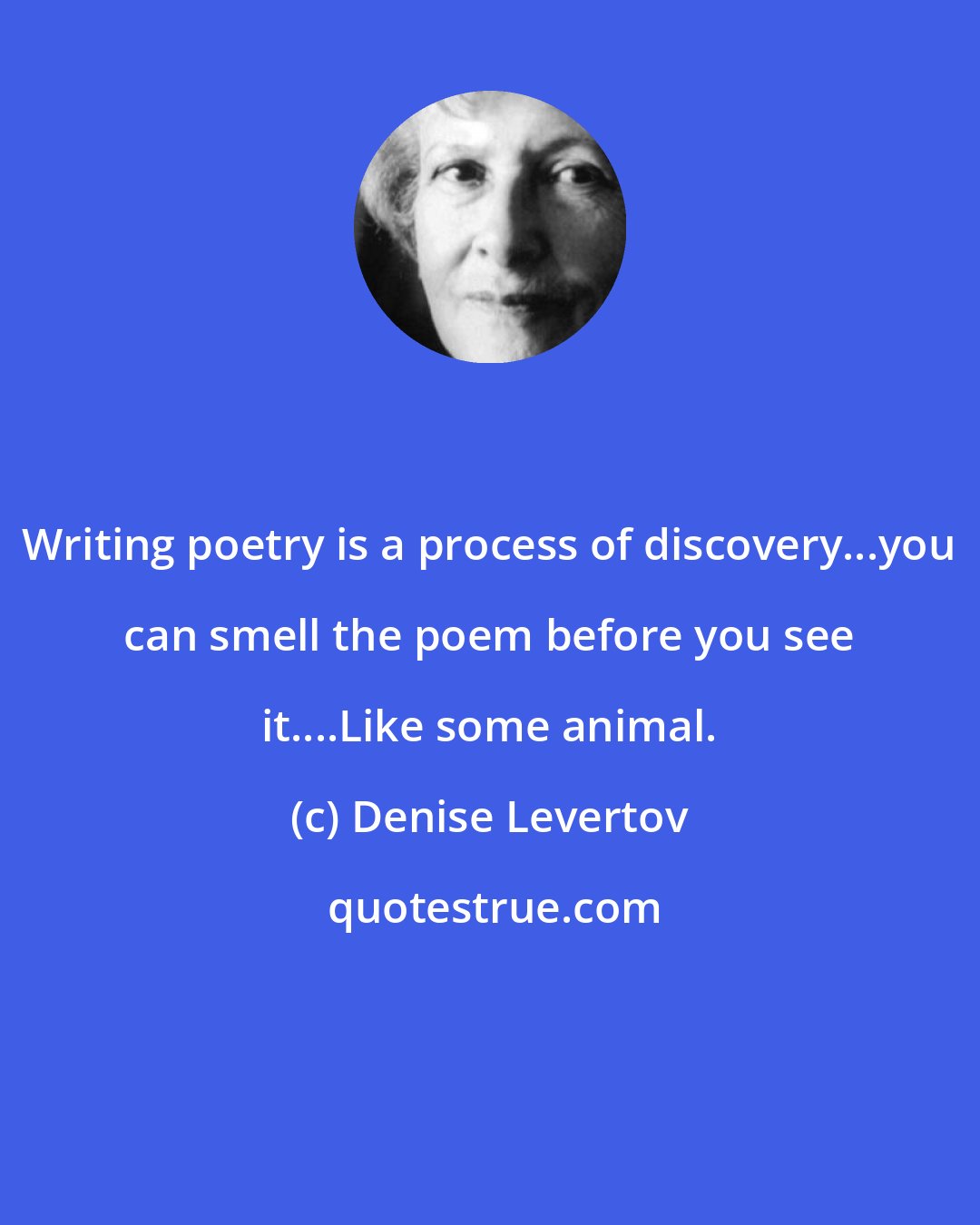 Denise Levertov: Writing poetry is a process of discovery...you can smell the poem before you see it....Like some animal.