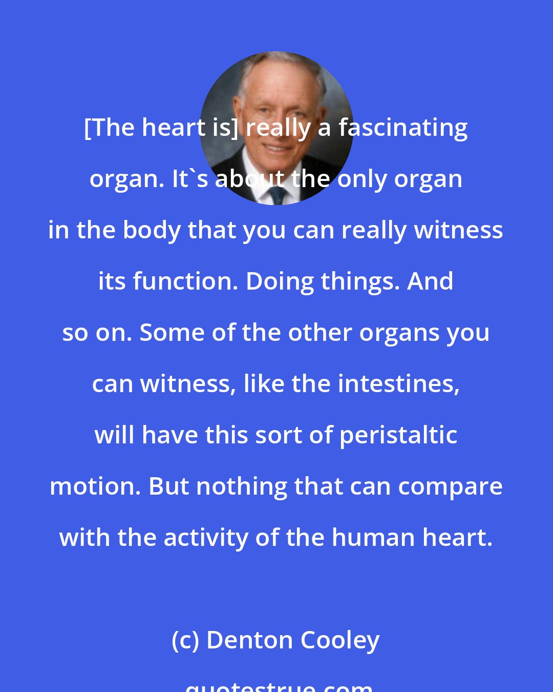 Denton Cooley: [The heart is] really a fascinating organ. It's about the only organ in the body that you can really witness its function. Doing things. And so on. Some of the other organs you can witness, like the intestines, will have this sort of peristaltic motion. But nothing that can compare with the activity of the human heart.