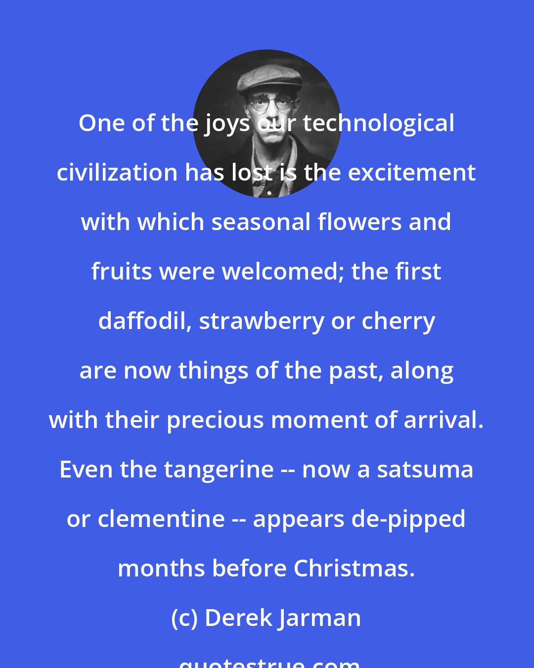 Derek Jarman: One of the joys our technological civilization has lost is the excitement with which seasonal flowers and fruits were welcomed; the first daffodil, strawberry or cherry are now things of the past, along with their precious moment of arrival. Even the tangerine -- now a satsuma or clementine -- appears de-pipped months before Christmas.