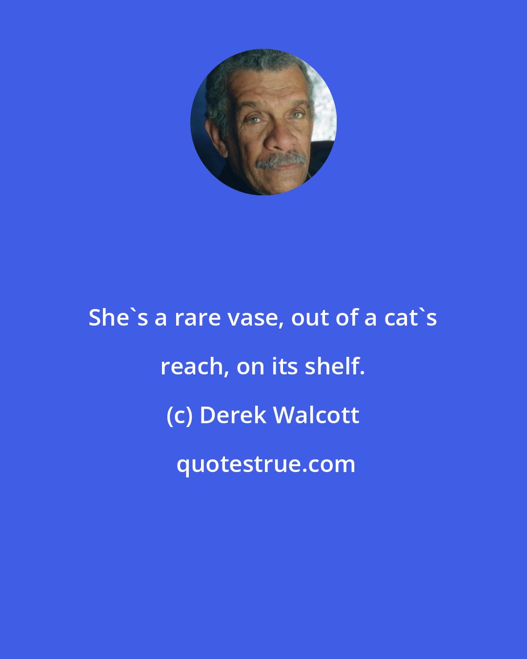 Derek Walcott: She's a rare vase, out of a cat's reach, on its shelf.