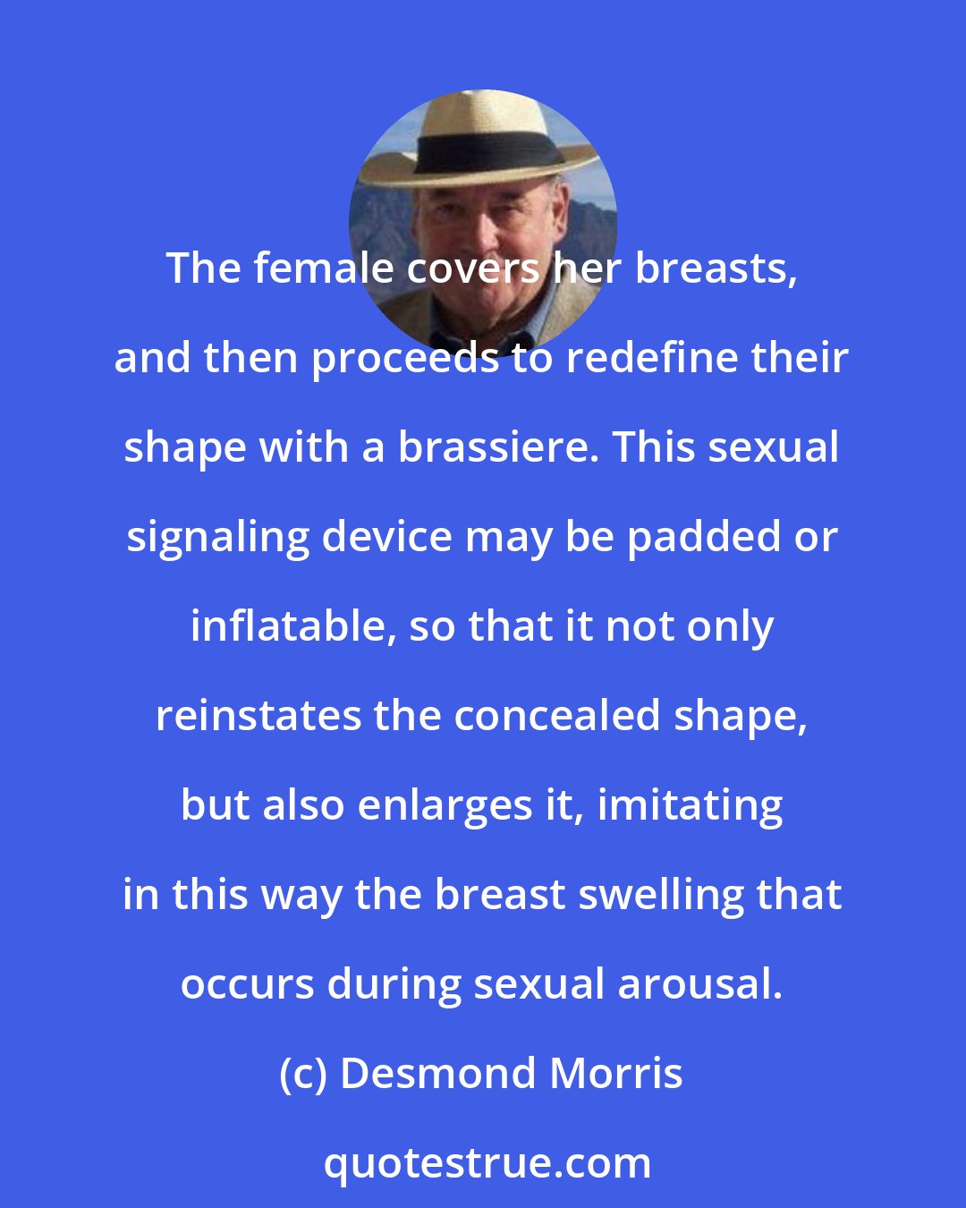 Desmond Morris: The female covers her breasts, and then proceeds to redefine their shape with a brassiere. This sexual signaling device may be padded or inflatable, so that it not only reinstates the concealed shape, but also enlarges it, imitating in this way the breast swelling that occurs during sexual arousal.
