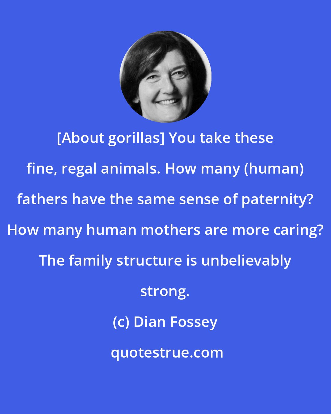 Dian Fossey: [About gorillas] You take these fine, regal animals. How many (human) fathers have the same sense of paternity? How many human mothers are more caring? The family structure is unbelievably strong.