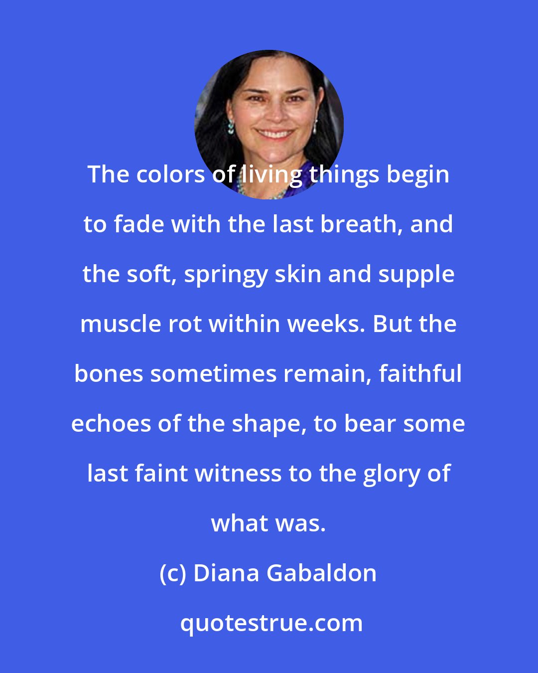 Diana Gabaldon: The colors of living things begin to fade with the last breath, and the soft, springy skin and supple muscle rot within weeks. But the bones sometimes remain, faithful echoes of the shape, to bear some last faint witness to the glory of what was.