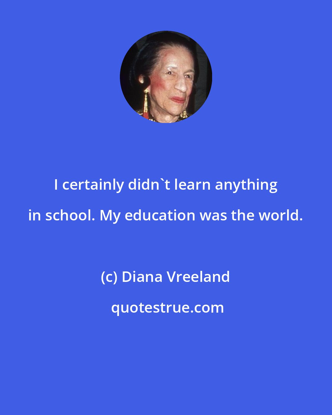 Diana Vreeland: I certainly didn't learn anything in school. My education was the world.