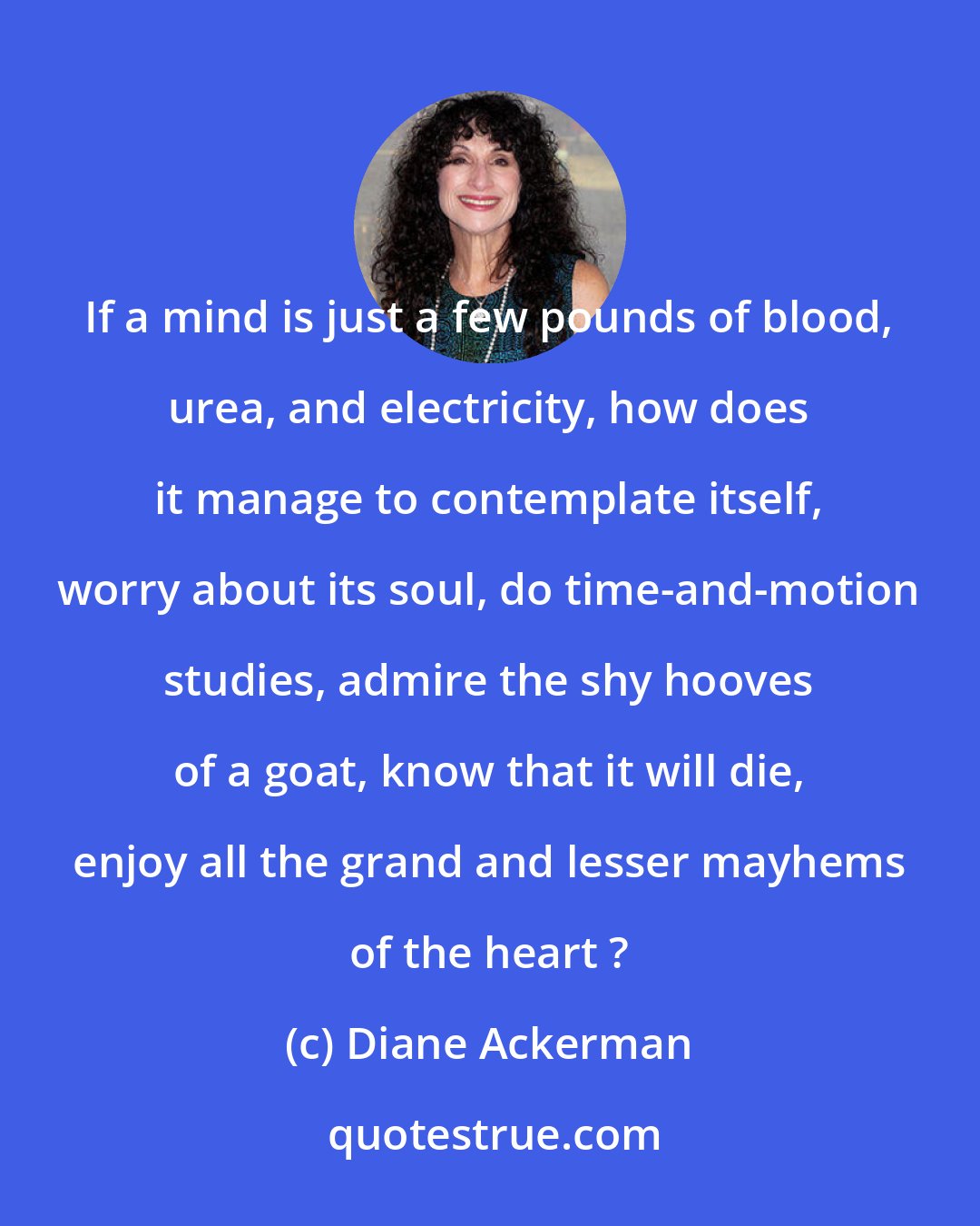 Diane Ackerman: If a mind is just a few pounds of blood, urea, and electricity, how does it manage to contemplate itself, worry about its soul, do time-and-motion studies, admire the shy hooves of a goat, know that it will die, enjoy all the grand and lesser mayhems of the heart ?