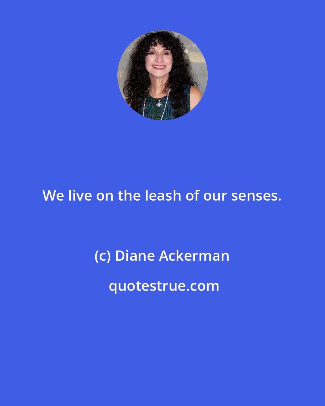 Diane Ackerman: We live on the leash of our senses.