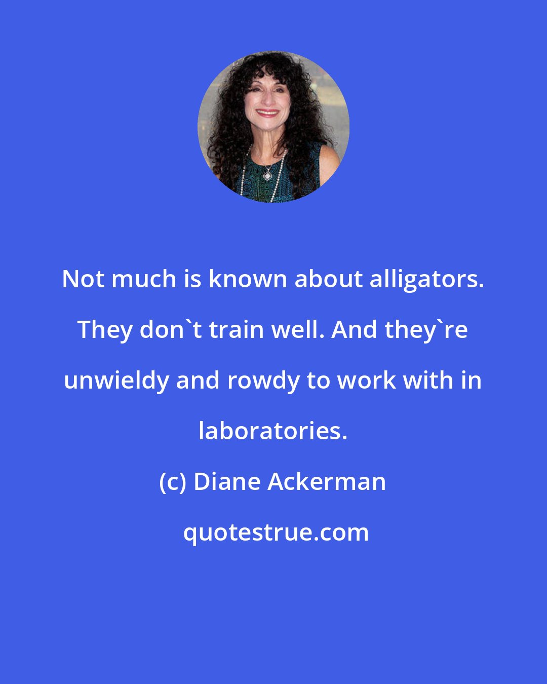 Diane Ackerman: Not much is known about alligators. They don't train well. And they're unwieldy and rowdy to work with in laboratories.