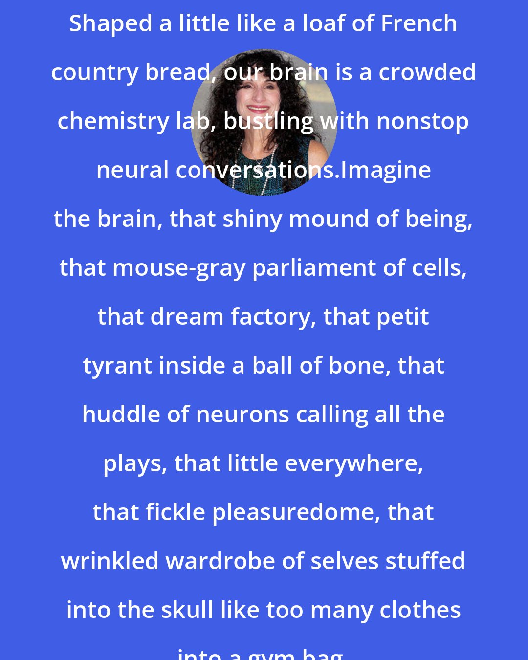 Diane Ackerman: Shaped a little like a loaf of French country bread, our brain is a crowded chemistry lab, bustling with nonstop neural conversations.Imagine the brain, that shiny mound of being, that mouse-gray parliament of cells, that dream factory, that petit tyrant inside a ball of bone, that huddle of neurons calling all the plays, that little everywhere, that fickle pleasuredome, that wrinkled wardrobe of selves stuffed into the skull like too many clothes into a gym bag.