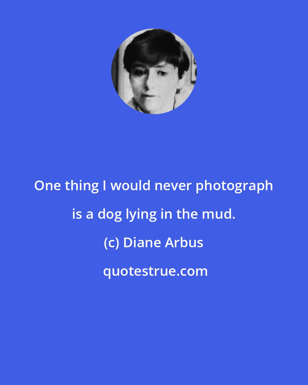 Diane Arbus: One thing I would never photograph is a dog lying in the mud.