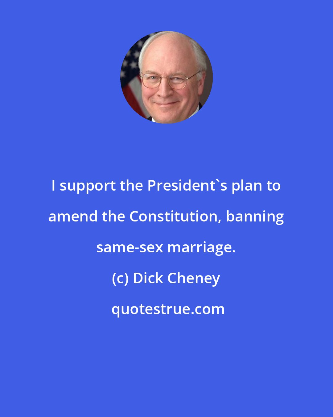 Dick Cheney: I support the President's plan to amend the Constitution, banning same-sex marriage.