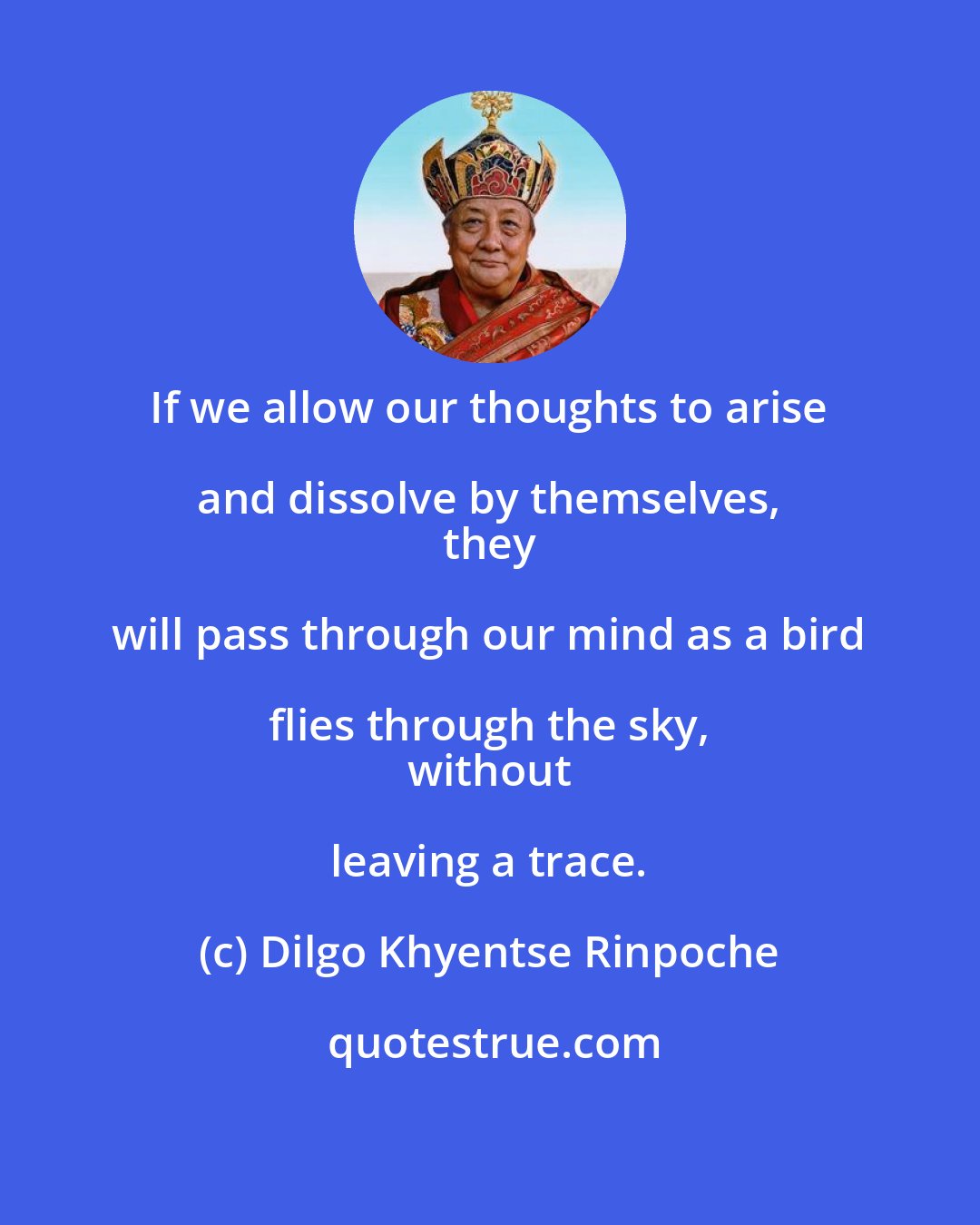 Dilgo Khyentse Rinpoche: If we allow our thoughts to arise and dissolve by themselves, 
 they will pass through our mind as a bird flies through the sky, 
 without leaving a trace.