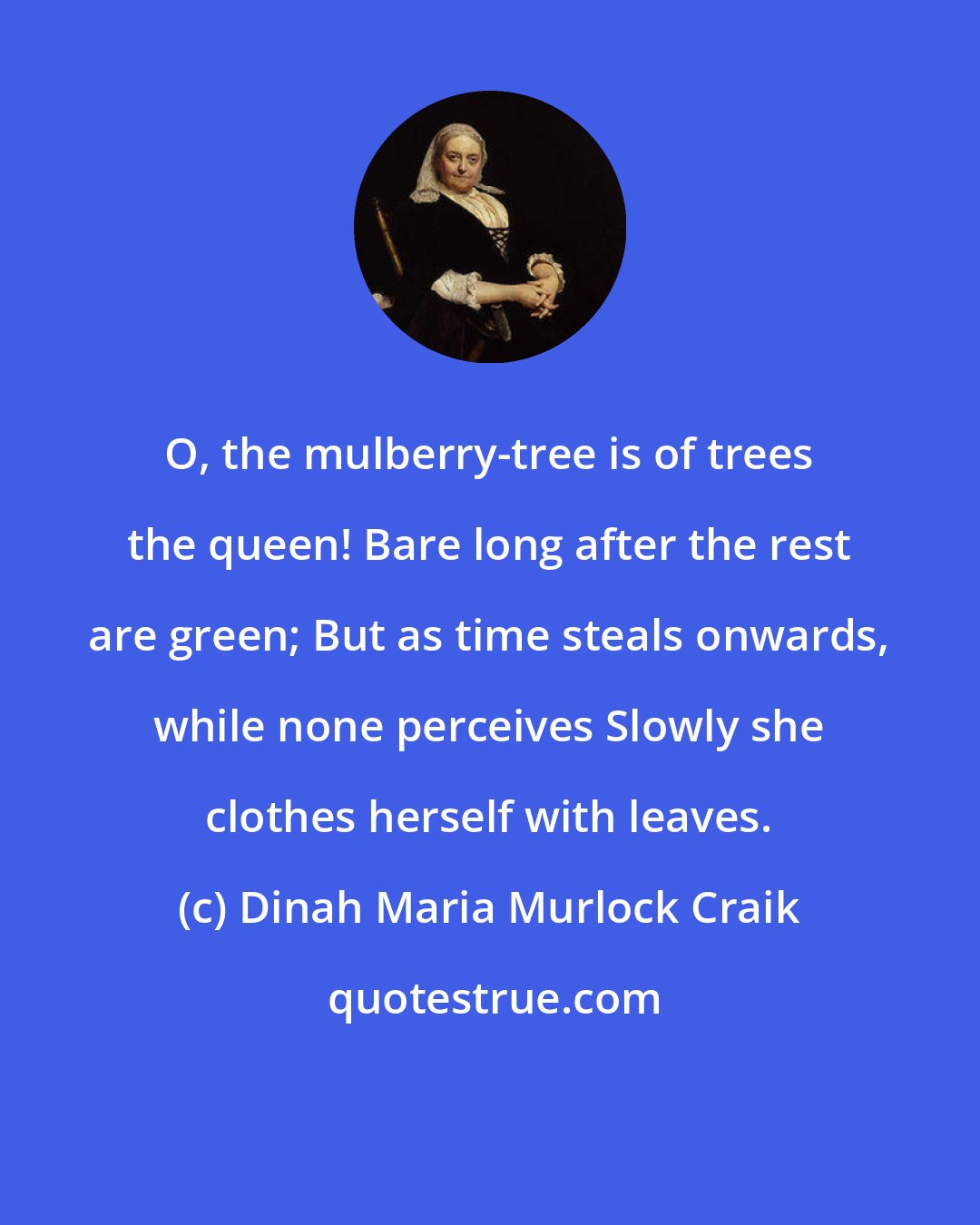 Dinah Maria Murlock Craik: O, the mulberry-tree is of trees the queen! Bare long after the rest are green; But as time steals onwards, while none perceives Slowly she clothes herself with leaves.