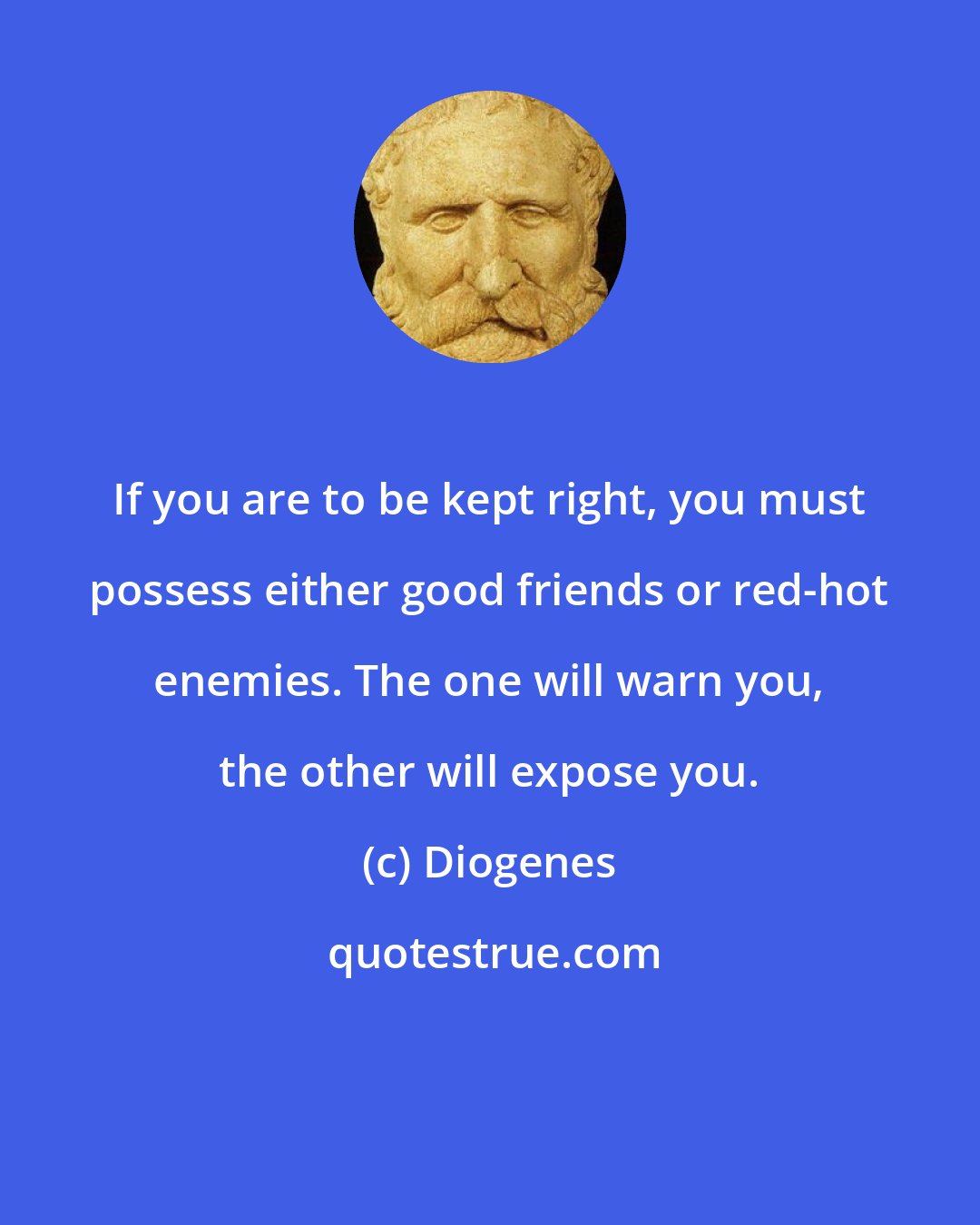 Diogenes: If you are to be kept right, you must possess either good friends or red-hot enemies. The one will warn you, the other will expose you.