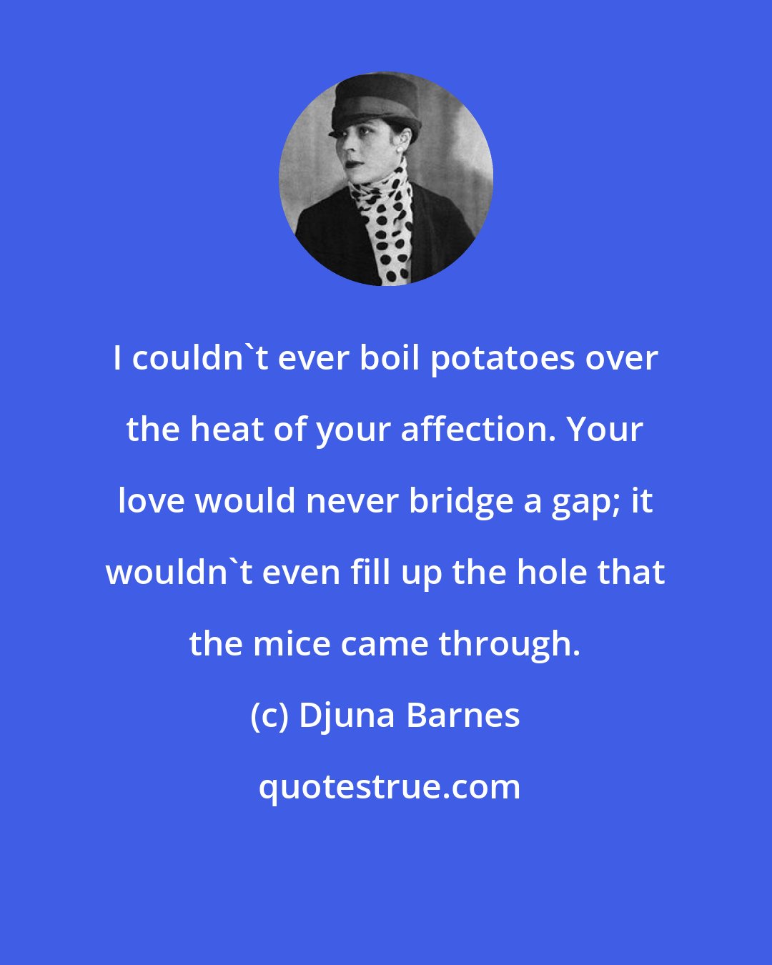 Djuna Barnes: I couldn't ever boil potatoes over the heat of your affection. Your love would never bridge a gap; it wouldn't even fill up the hole that the mice came through.