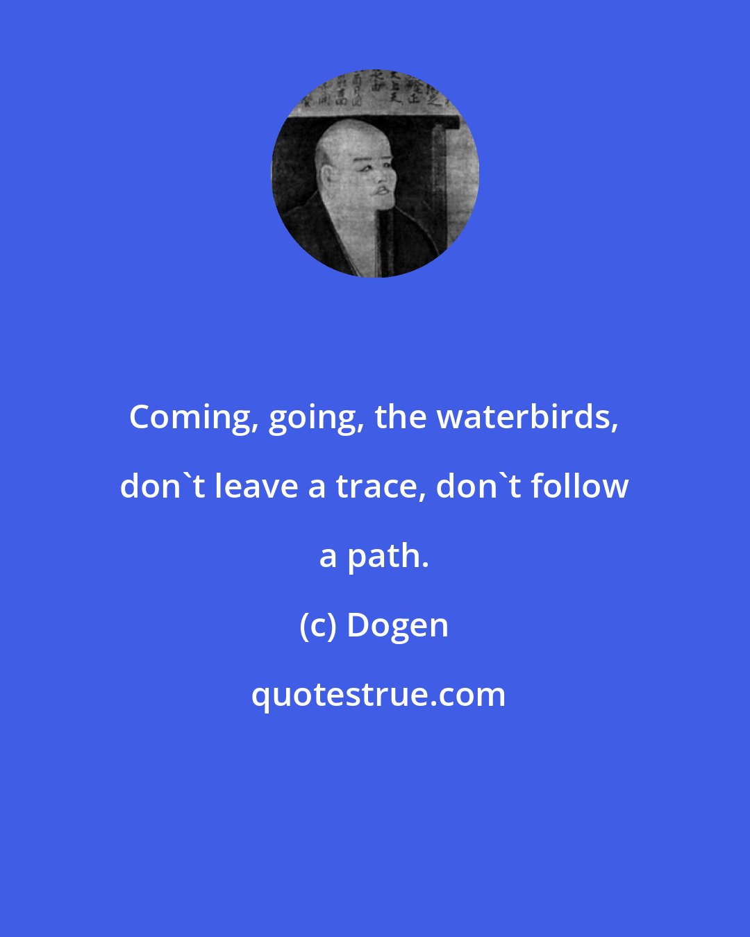 Dogen: Coming, going, the waterbirds, don't leave a trace, don't follow a path.