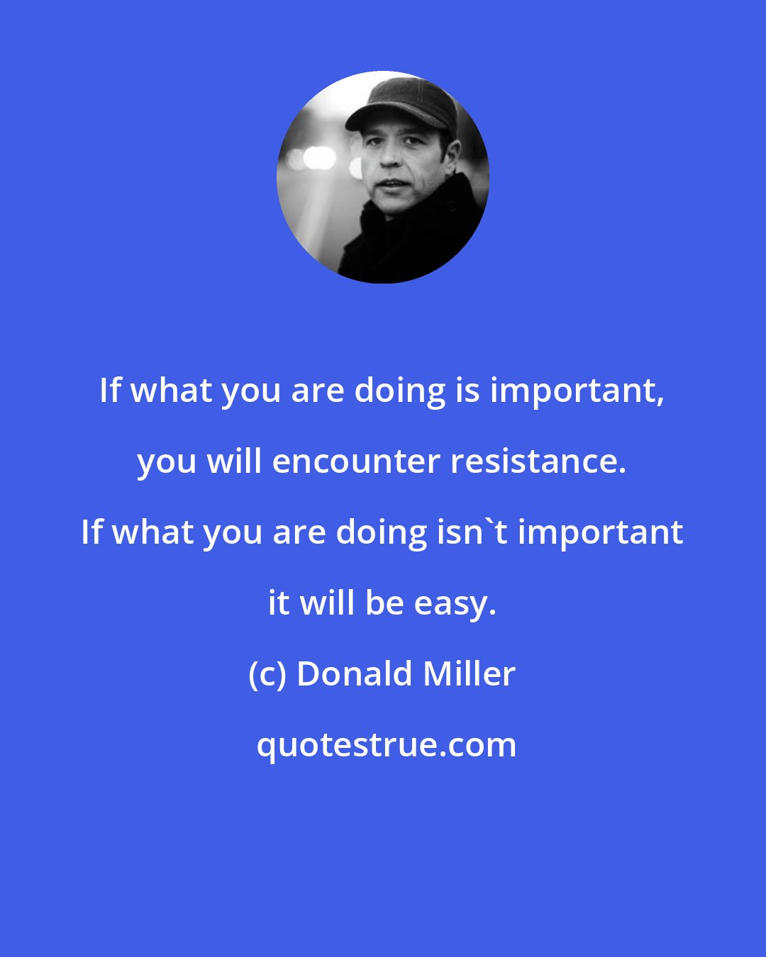 Donald Miller: If what you are doing is important, you will encounter resistance. If what you are doing isn't important it will be easy.